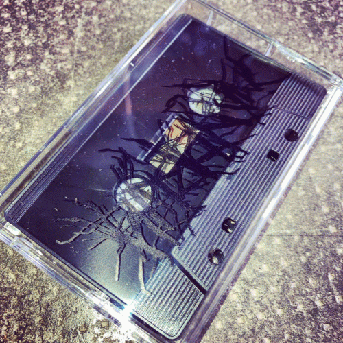 Mandibula (FRA) : Mandibula